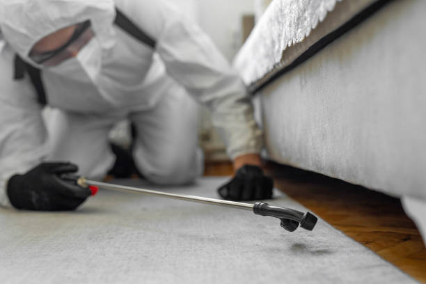Professional Termite Control technician working in Cameron, WI