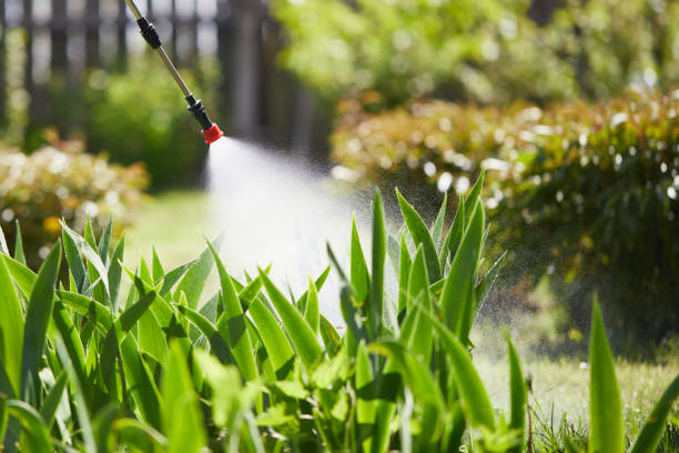 24/7 Emergency Termite Control experts in Cameron, WI